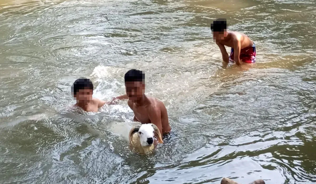 Sejumlah remaja saat memandikan kambing di Kali Cikarang, Kampung Tanah Baru, Kabupaten Bekasi, Minggu, 7 September 2025, salah satunya dilaporkan tenggelam. (Sumber: Dok Polsek Cikarang Utara)