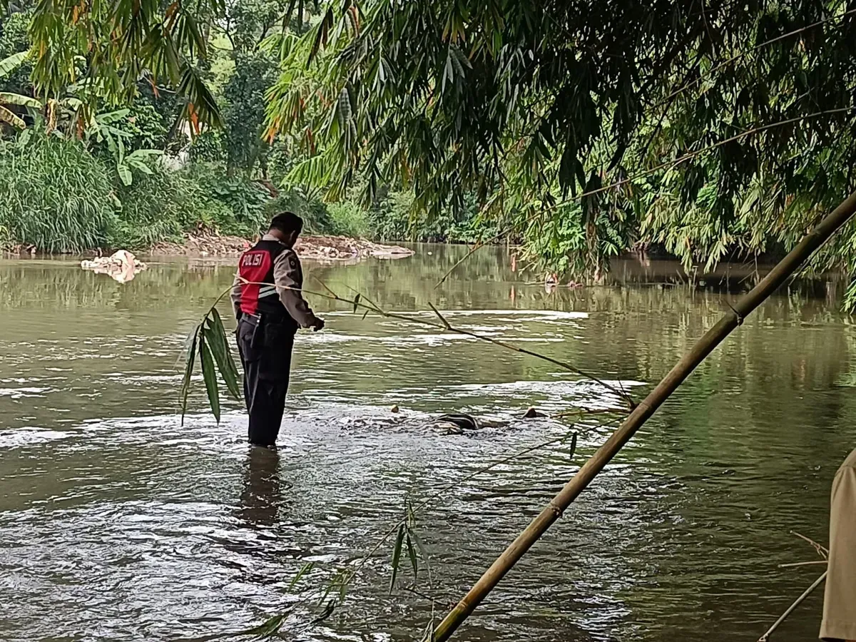 Petugas mengevakuasi jasad pria yang ditemukan mengambang tersangkut bebatuan di Kali Ciliwung, Bojonggede, Bogor. (Sumber: Polsek Sukmajaya)