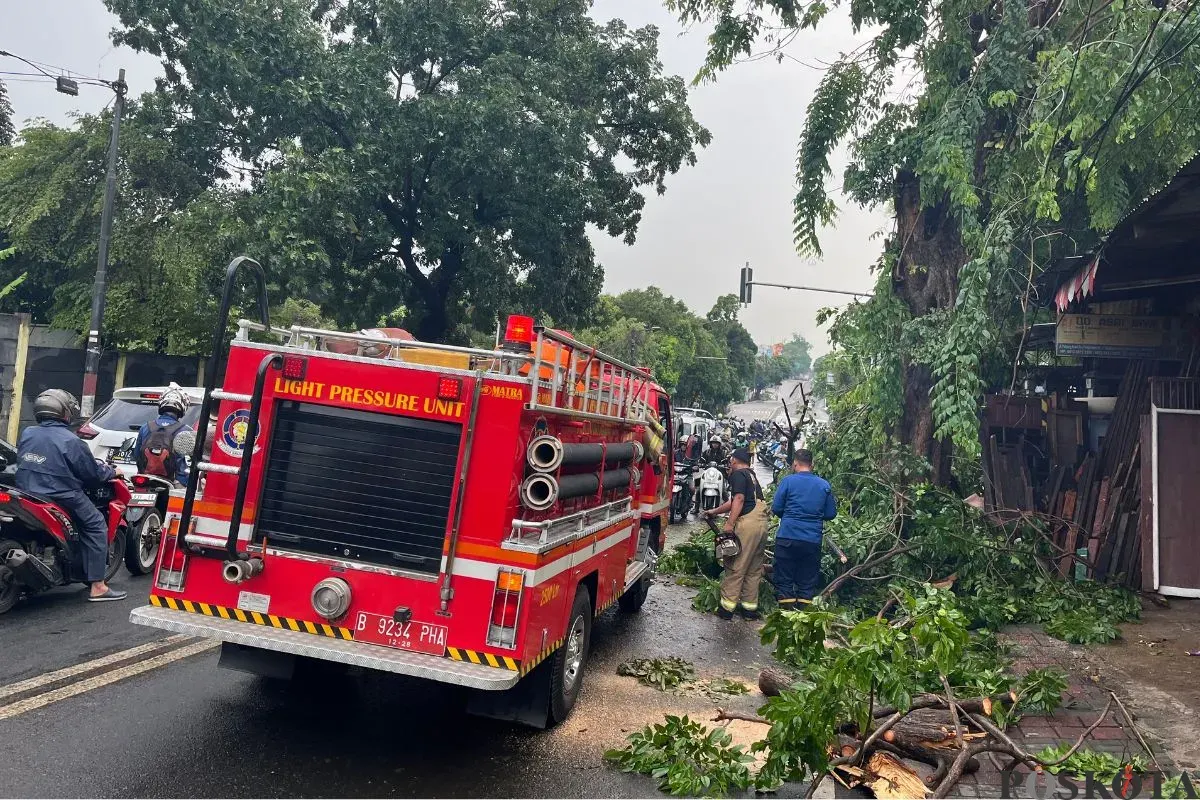 Sebuah pohon besar tumbang di Jalan Jenderal Supeno Arteri Permata Hijau, tepatnya dekat RS Pertama Hijau Grogol Utara, Kebayoran Lama, Jakarta Selatan, Selasa, 9 September 2025. (Sumber: Poskota/Pandi Ramedhan)