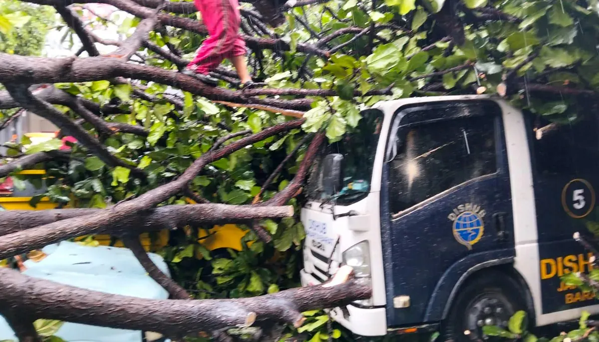 Pohon tumbang di halaman Kantor Kecamatan Kebon Jeruk, pada Selasa, 9 September 2025, menimpa kendaraan. (Sumber: Istimewa)