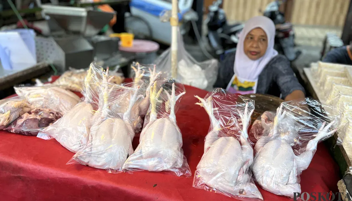Pedagang daging ayam di Pasar Kebayoran Lama, Jakarta Selatan. (Sumber: POSKOTA | Foto: Pandi Ramedhan)