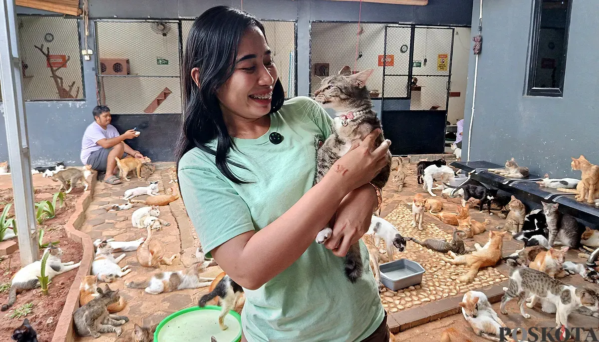 Relawan Rumah Singgah Kucing Jalanan Bekasi merawat ratusan ekor kucing jalanan, termasuk yang dievakuasi dari lokasi kerusuhan di Jakarta pada akhir Agustus 2025. (Sumber: POSKOTA | Foto: Nurpini Aulia Rapika)