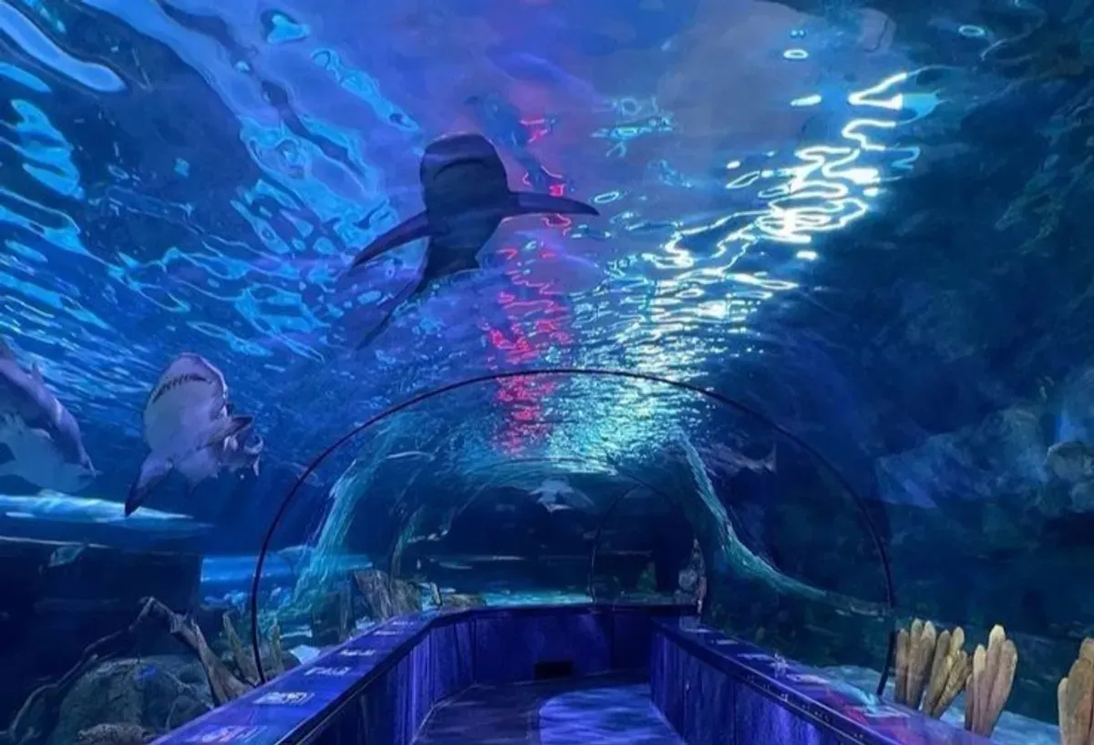 Pemandangan megah akuarium raksasa di Jakarta Aquarium & Safari. (Sumber: Pinterest)