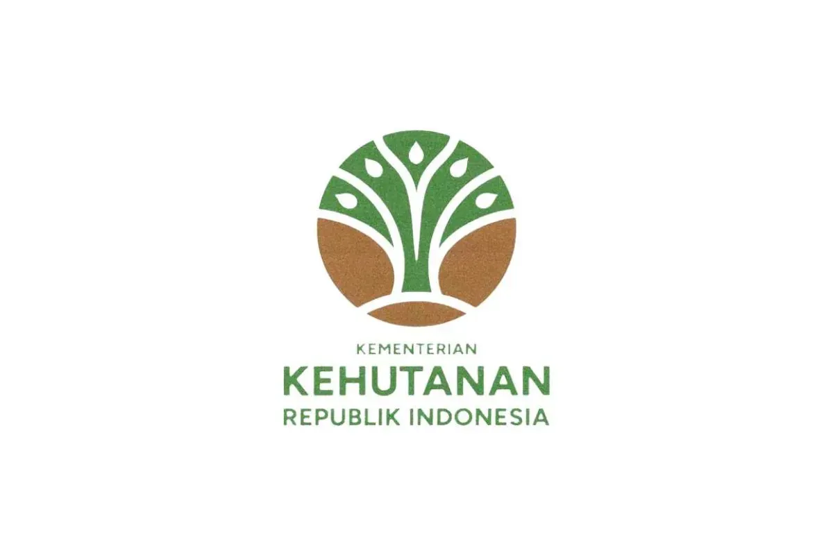Info lowongan kerja Direktorat Penggunaan Kawasan Hutan 2025. (Sumber: Istimewa)
