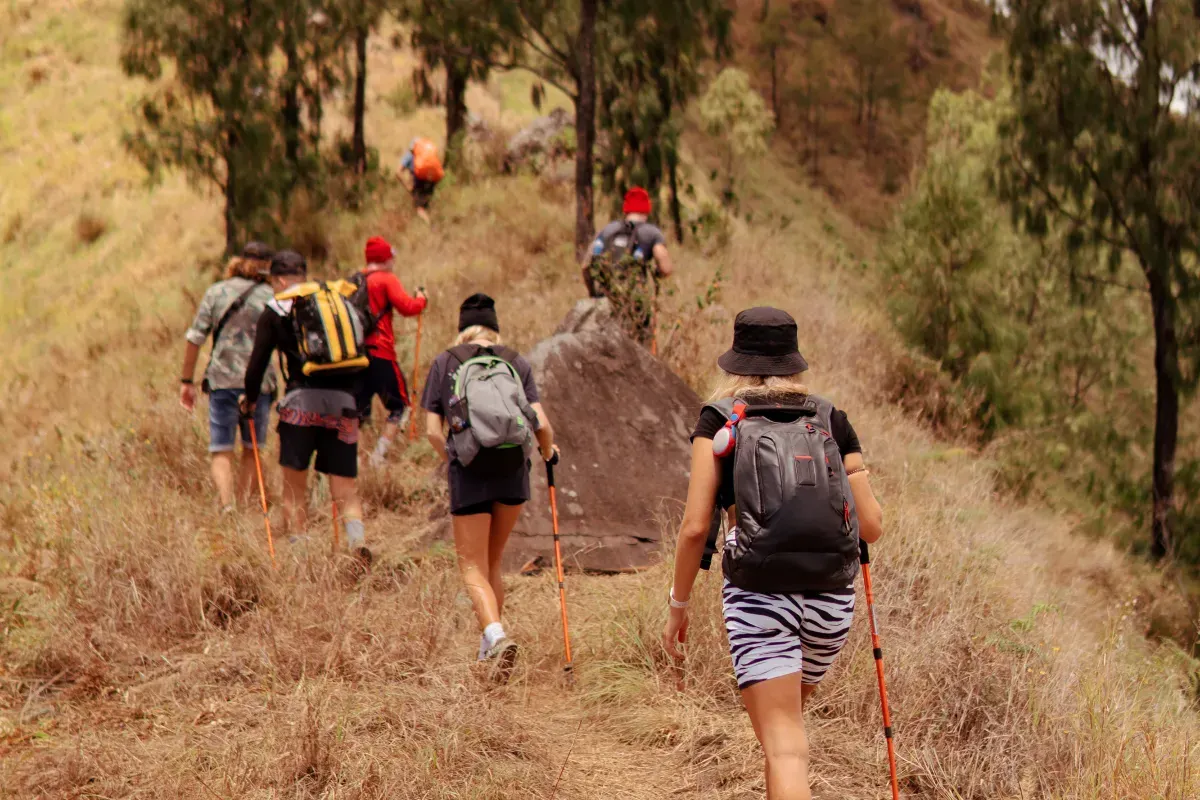 Ilustrasi trekking di Bogor. (Sumber: Freepik/alexeyzhilkin)