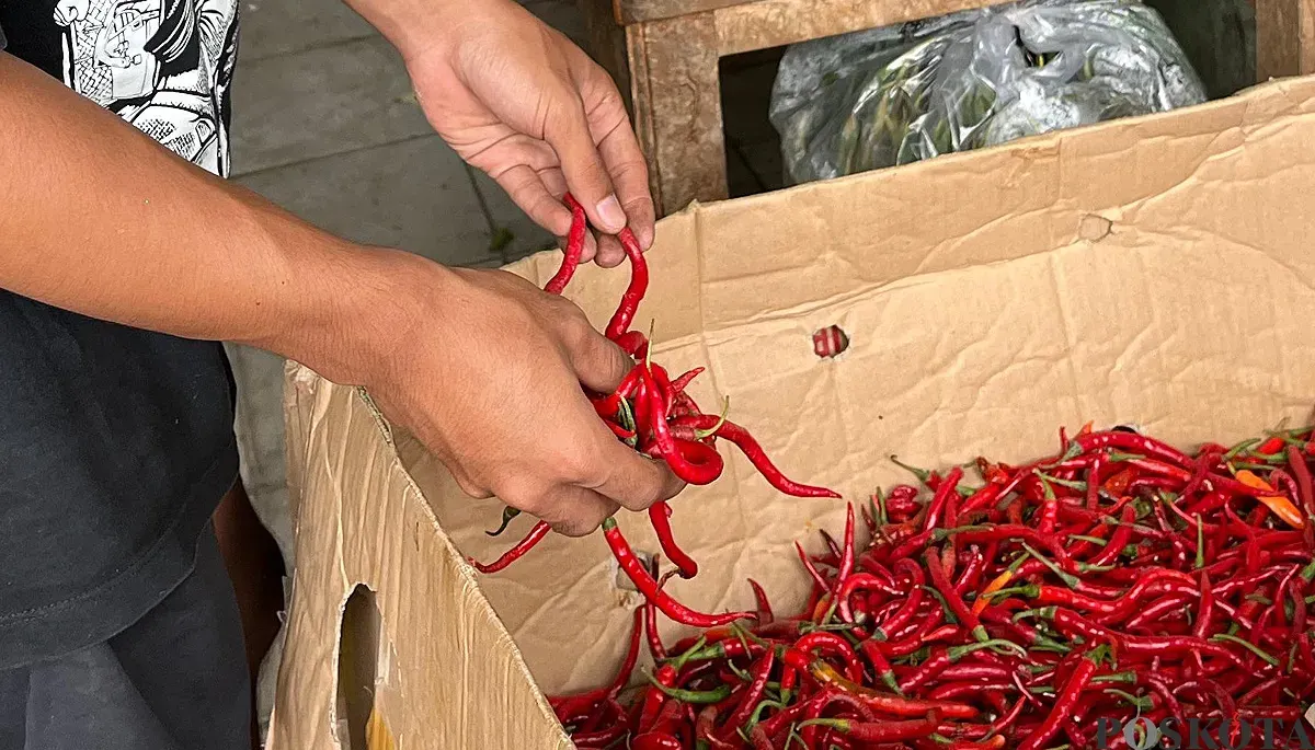 Harga cabai keriting di pasar-pasar tradisional Jakarta mengalami kenaikan. (Sumber: POSKOTA | Foto: M Tegar Jihad)