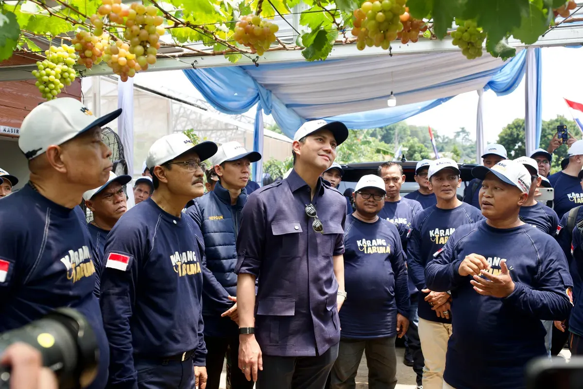 Mensos Gus Ipul dan Ketum Karang Taruna meninjau lapak bibir buah anggur dan alpukat di Sukahati, Cibinong, Kabupaten Bogor. (Sumber: Istimewa)