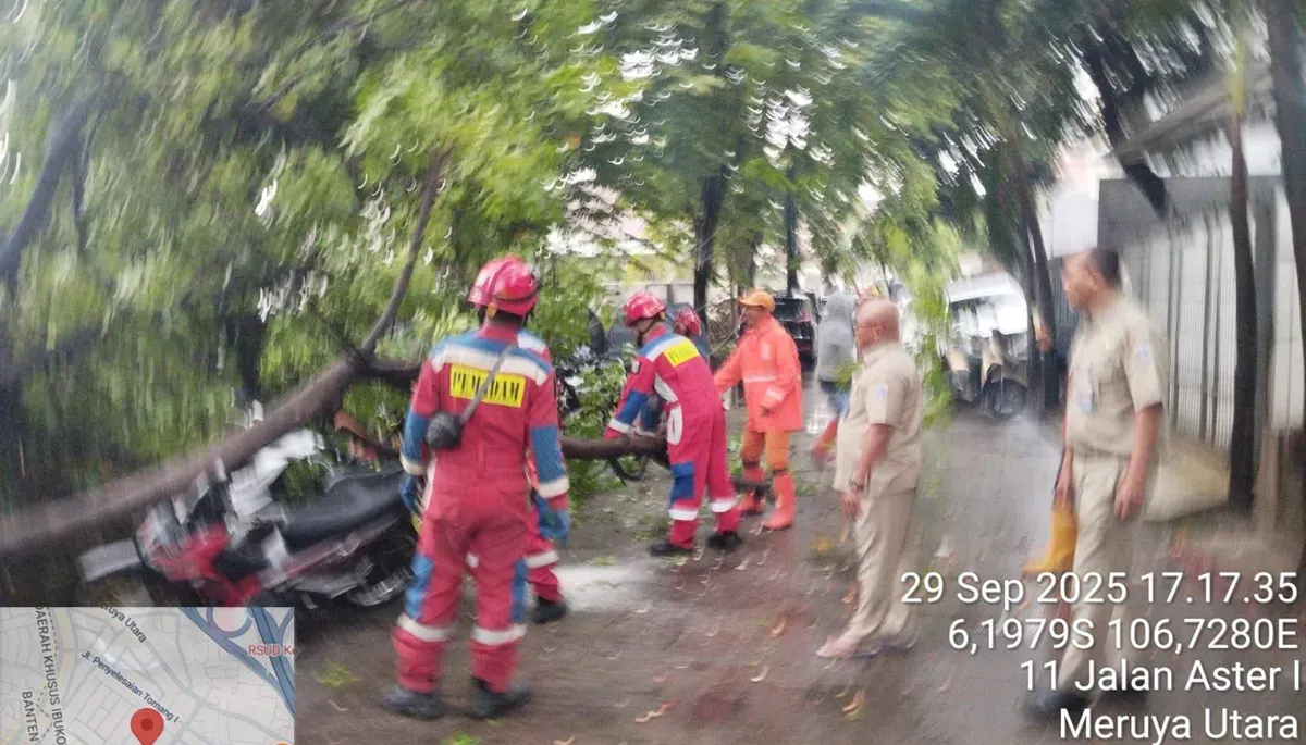 Pohon tumbang menimpa sejumlah kendaraan roda dua di kawasan Meruya Utara, Kembangan, Jakarta Barat, pada Senin, 29 September 2025. (Sumber: Istimewa)