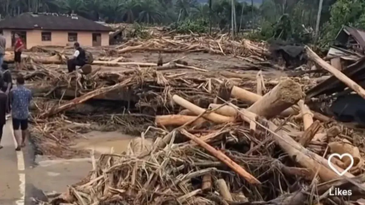 Ilustrasi kayu gelondongan yang terseret arus banjir di Aceh, Sumatra. (Sumber: Instagram)