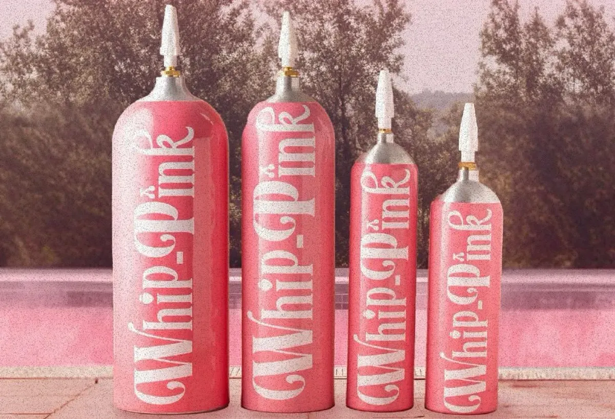 Whip Pink yang belakangan menjadi perbincangan hangat menyusul kabar meninggalnya Lula Lahfah, kekasih musisi Reza Arap. (Sumber: Instagram/@whippink.co)