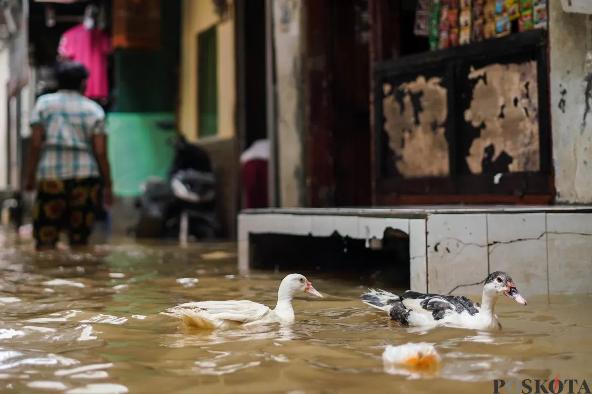 Warga berjalan melintasi banjir yang menggenangi kawasan Kebon Pala, Jakarta Timur, Jumat, 30 Januari 2026 (Sumber: Poskota/Bilal Nugraha Ginanjar)