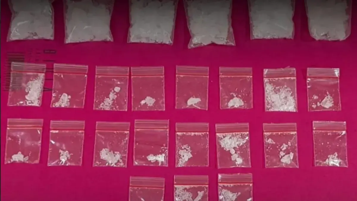 Barang bukti narkoba jenis sabut yang siap edar berhasil diamankan kepolisian. (Sumber: Istimewa)