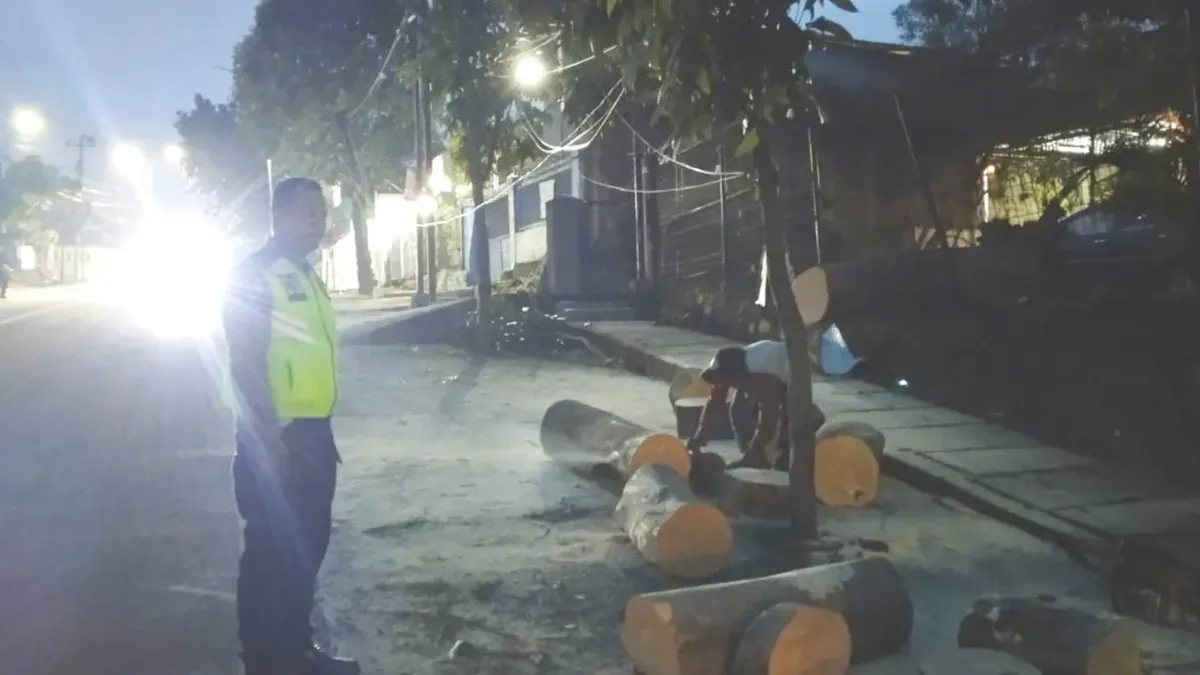 Petugas lantas Polsek Sukmajaya telah memastikan situasi lalu lintas di Jalan KSU kembali normal setelah batang pohon tumbang sudah dibersihkan. (Sumber: Polsek Sukmajaya)