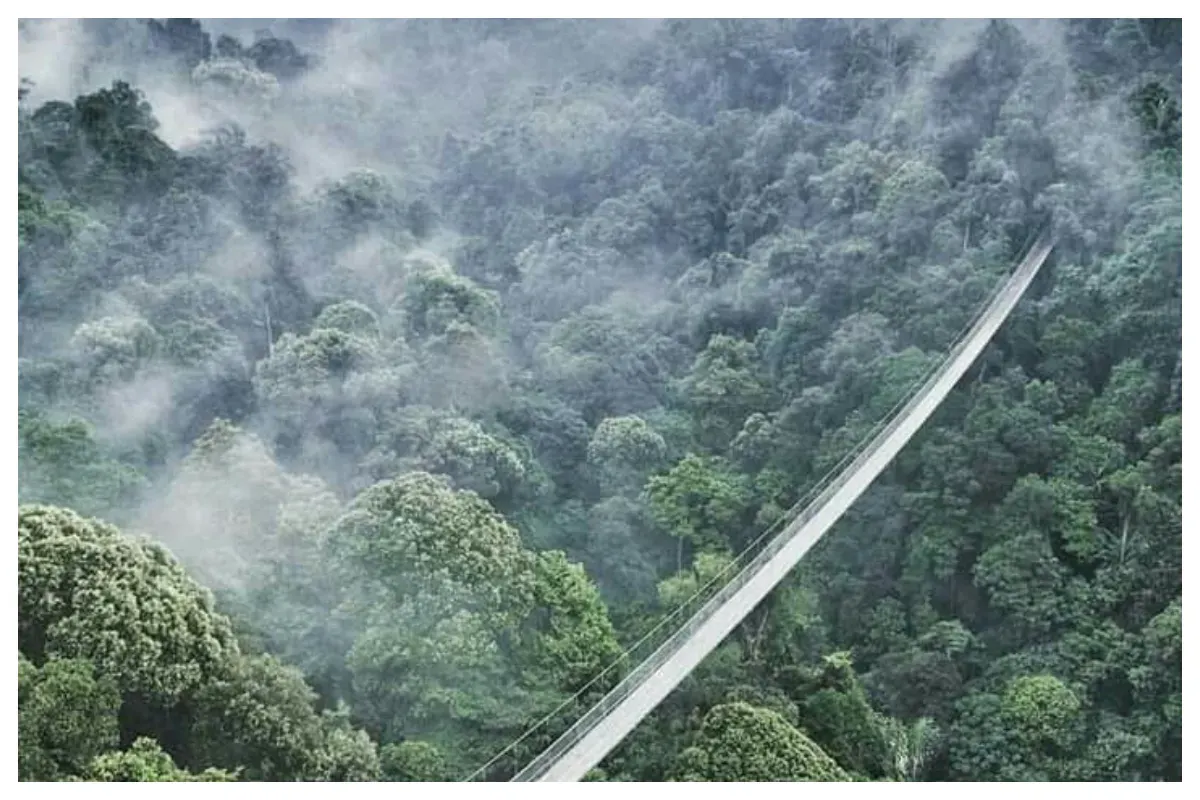 Jembatan gantung Situ Gunung di Sukabumi. (Sumber: Pinterest/Jazzytoby)