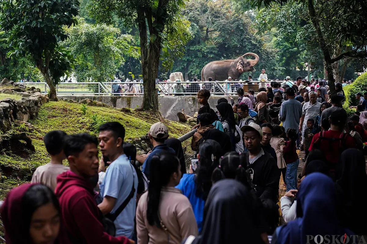 Pengunjung menyaksikan aneka jenis hewan saat mengisi masa libur Lebaran 2025 di Taman Margasatwa Ragunan, Jakarta Selatan, Sabtu, 5 April 2025. (Sumber: Poskota/Bilal Nugraha Ginanjar)
