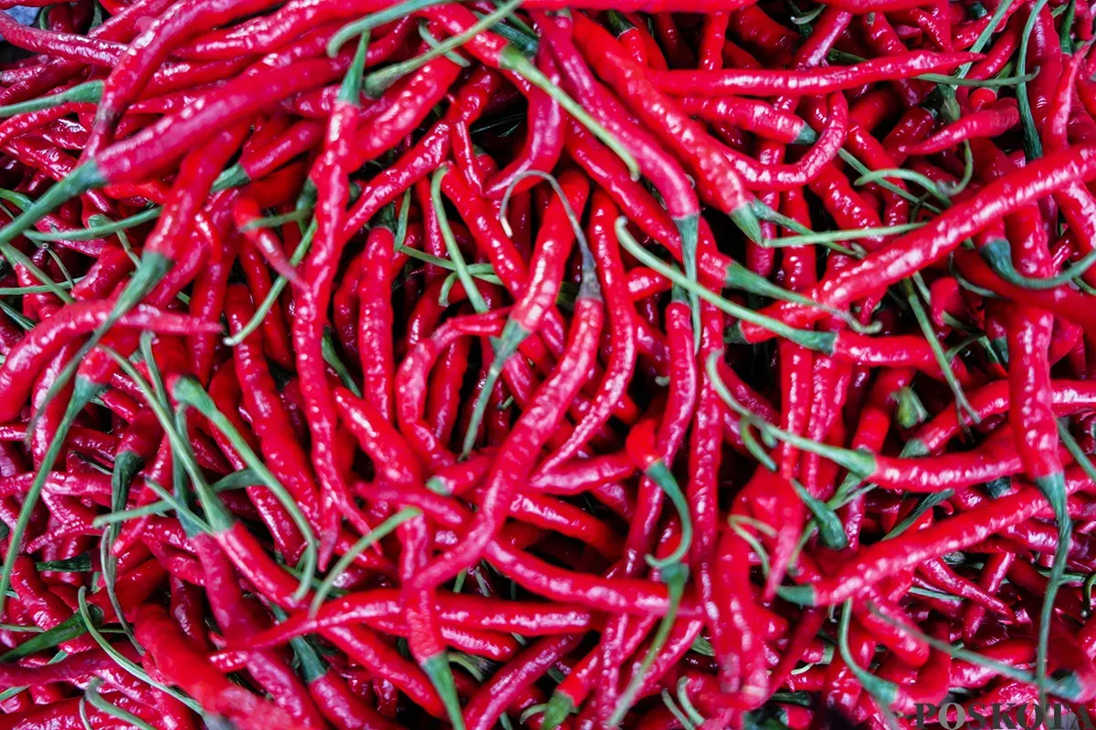 Sejumlah pedagang menjajakan barang dagangannya di lapak sayur dan daging di Pasar Kebayoran Lama, Jakarta Selatan, Kamis, 10 April 2025. (Sumber: Poskota/Bilal Nugraha Ginanjar)
