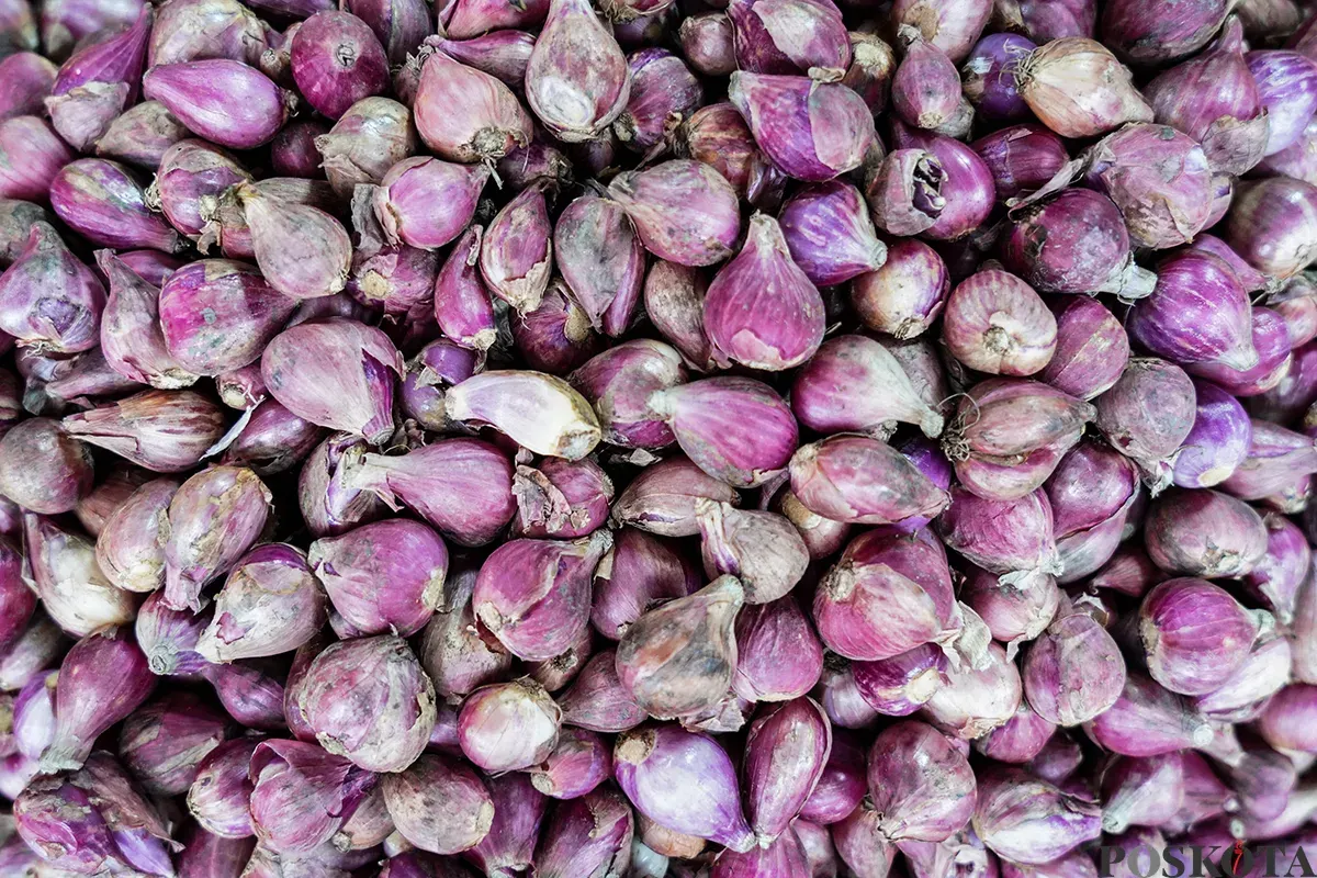Sejumlah pedagang menjajakan barang dagangannya di lapak sayur dan daging di Pasar Kebayoran Lama, Jakarta Selatan, Kamis, 10 April 2025. (Sumber: Poskota/Bilal Nugraha Ginanjar)