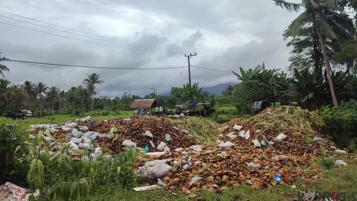Jalan longsor di Desa Cilabanbulan, Kecamatan Menes, Pandeglang, tertutup limbah kelapa muda. (Sumber: Poskota/Samsul Fatoni)