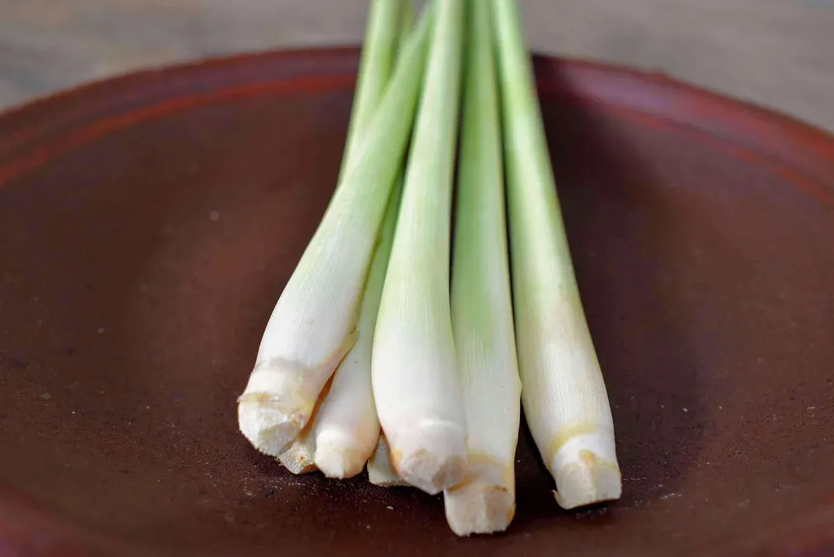 Manfaat minum teh serai, salah satunya terhindar dari risiko kanker. (Sumber: Pixabay/WonderfulBali)