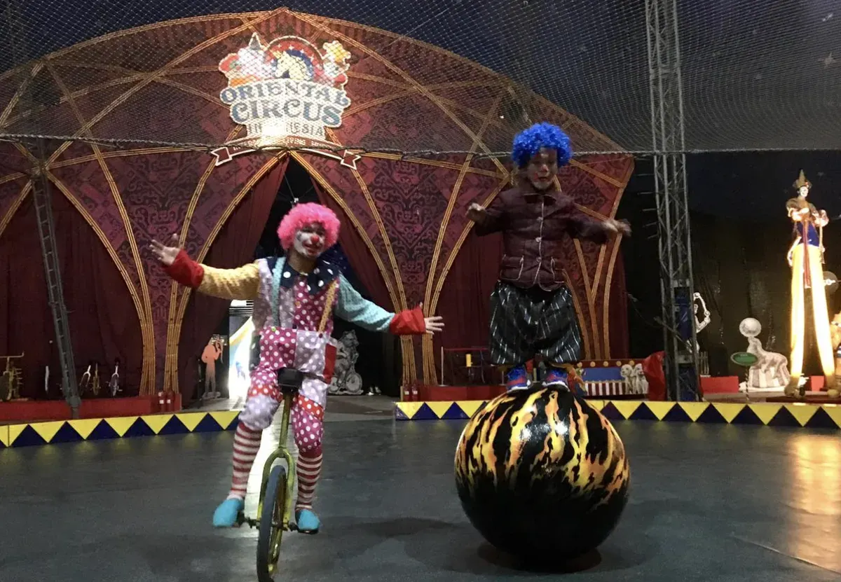 Taman Safari Indonesia Group tengah menjadi sorotan publik usai sejumlah mantan pemain sirkus Oriental Circus Indonesia (OCI) mengungkap dugaan eksploitasi. (Sumber: Dok/Taman Safari Indonesia)