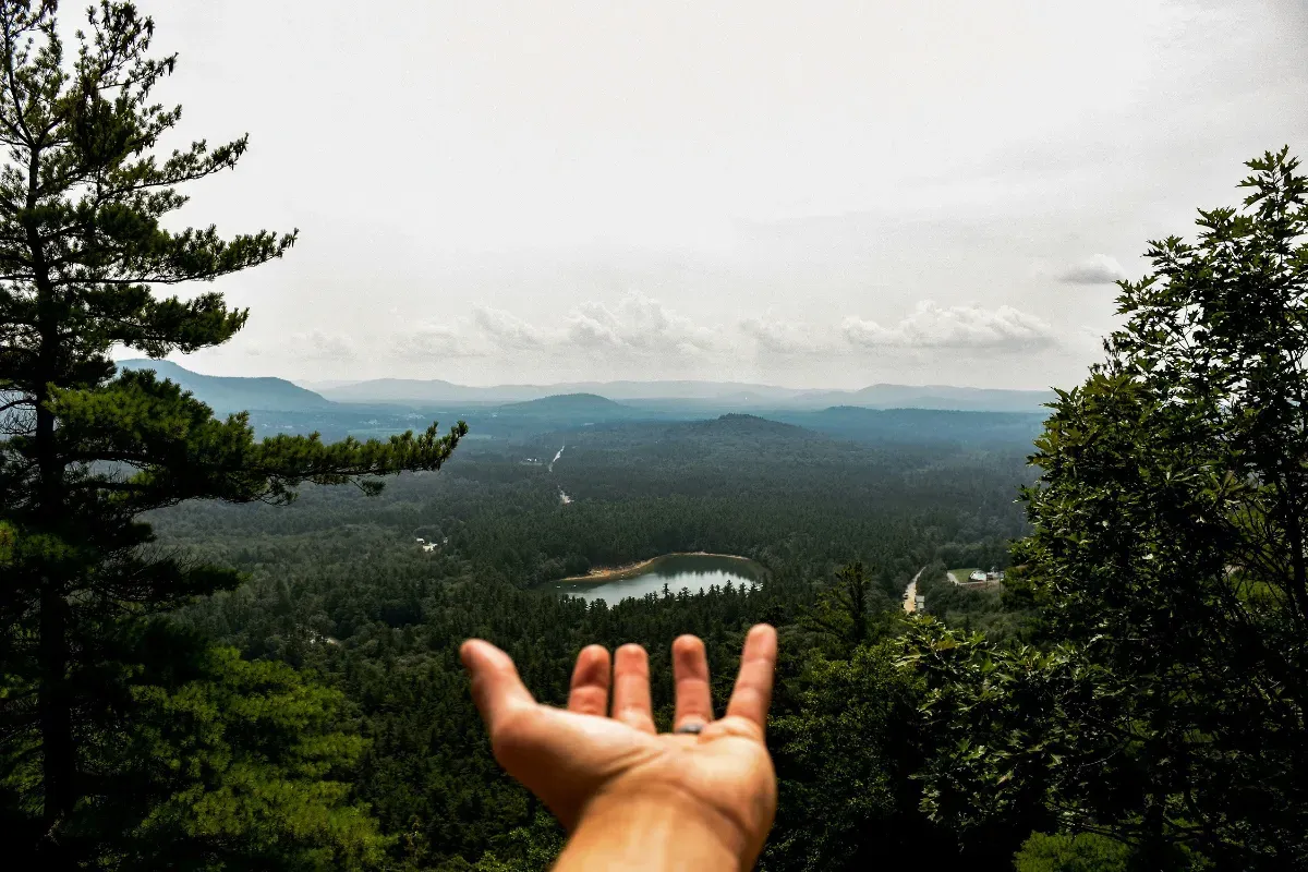 Peringatan Hari Bumi 22 April. (Sumber: Unsplash/Drew Saurus)