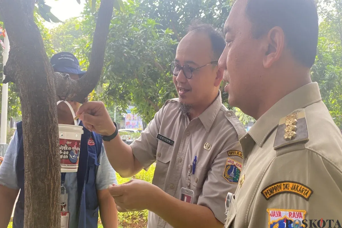 Penyebaran nyamuk Wolbachia mulai dilakukan Selasa, 29 April 2025. Program ini akan dilaksanakan selama lebih kurang 6 bulan dan dipastikan sudah tersebar di seluruh daerah Jakbar. (Sumber: Poskota/Primayanti Juli Kumala Manalu)