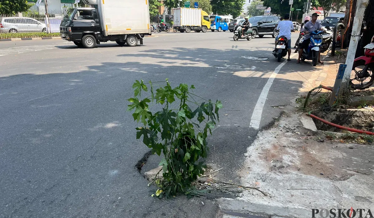 Kondisi jalan berlubang di Jalan Duri Raya, Duri Kepa, Kebon Jeruk, Jakarta Barat, dikeluhkan warga. (Sumber: POSKOTA | Foto: Pandi Ramedhan)