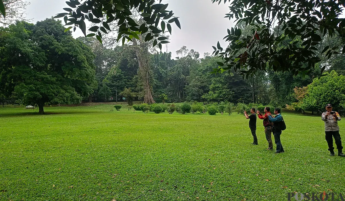 Capellen Avenue, lokasi yang digunakan event konten kreator Endang Yustika bersama kelompoknya di Kebun Raya Bogor. (Sumber: POSKOTA | Foto: Giffar Rivana)