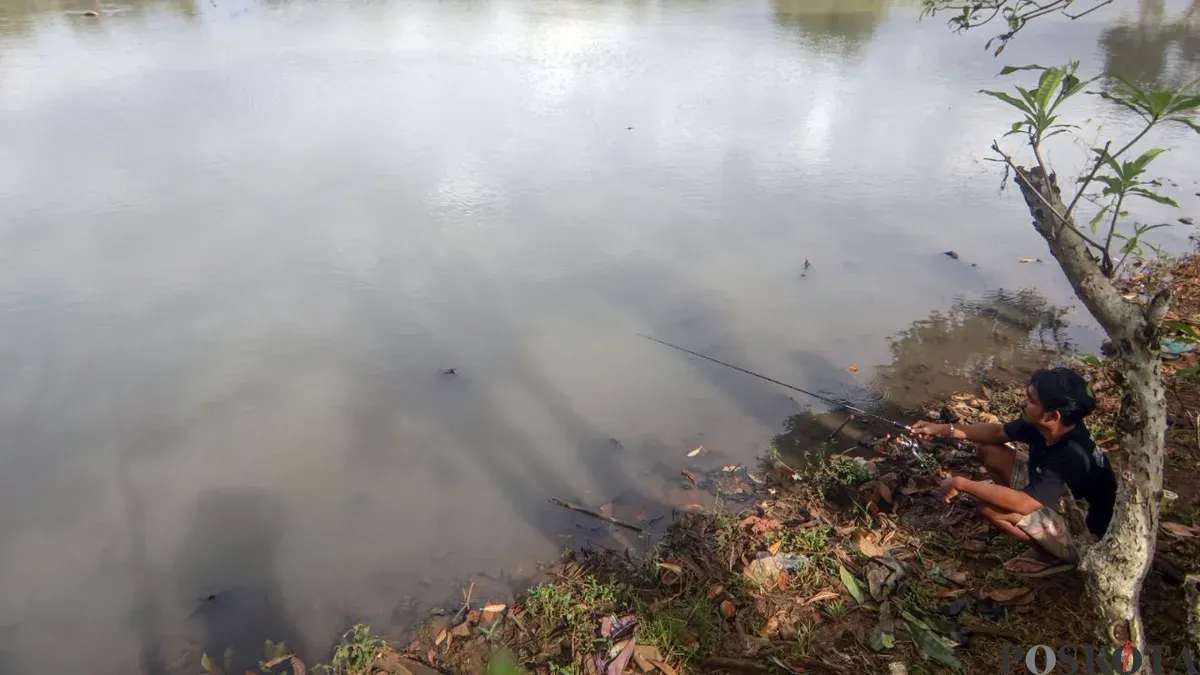Kondisi air di Situ Cimanggis, Kecamatan Bojonggede, Kabupaten Bogor. (Sumber: Poskota/Giffar Rivana)