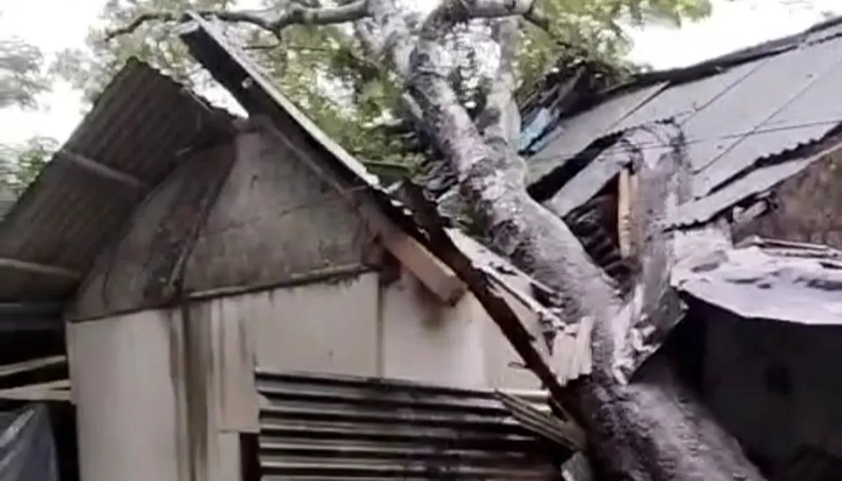 Kondisi rumah warga di Kecamatan Picung, Pandeglang, yang rusak tertimpa pohon tumbang. (Sumber: Dok. Warga)