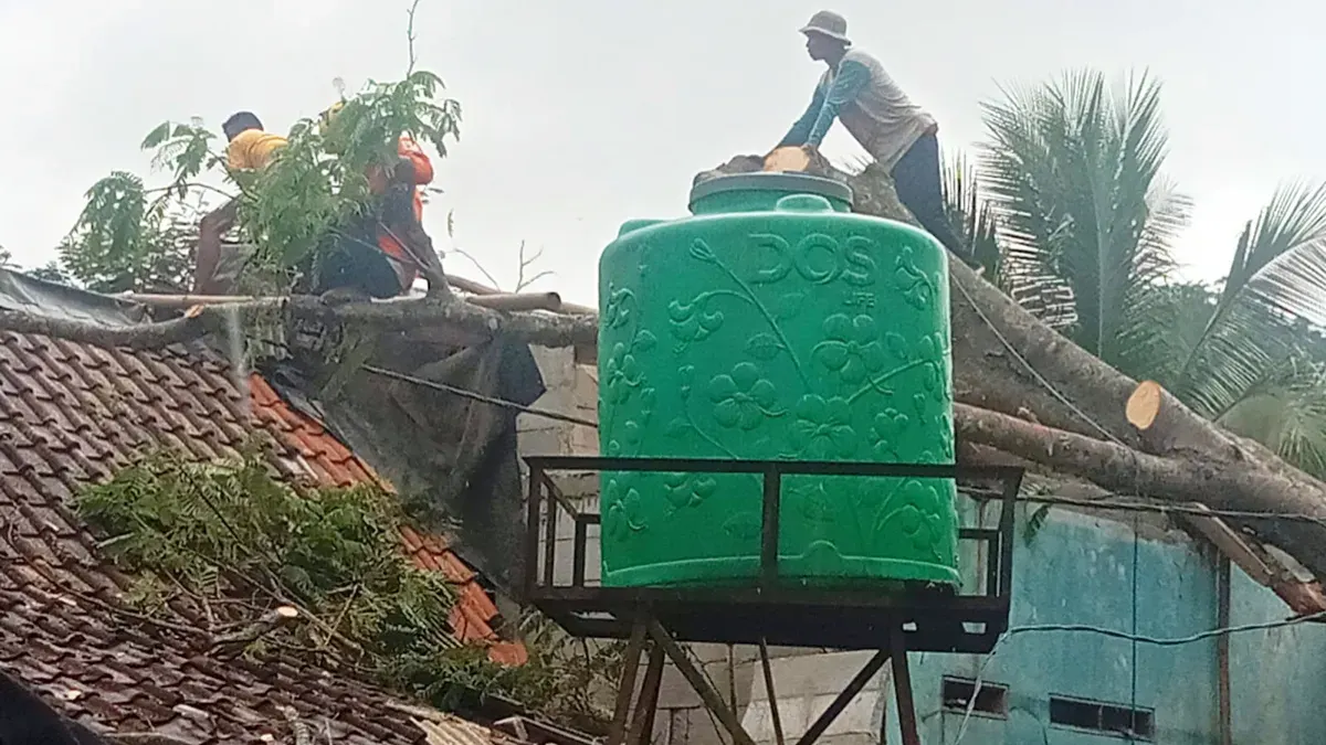 Petugas BPBD Lebak saat menangani pohon tumbang yang menimpa rumah warga. (Sumber: BPBD Lebak)