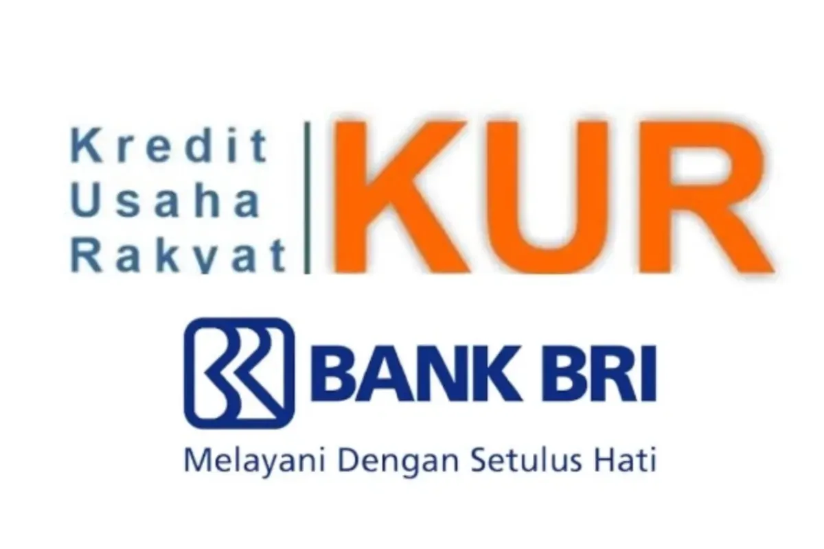 Ikuti tips pengajuan KUR BRI 2025 agar pinjaman kamu mudah disetujui. (Sumber: BRI)