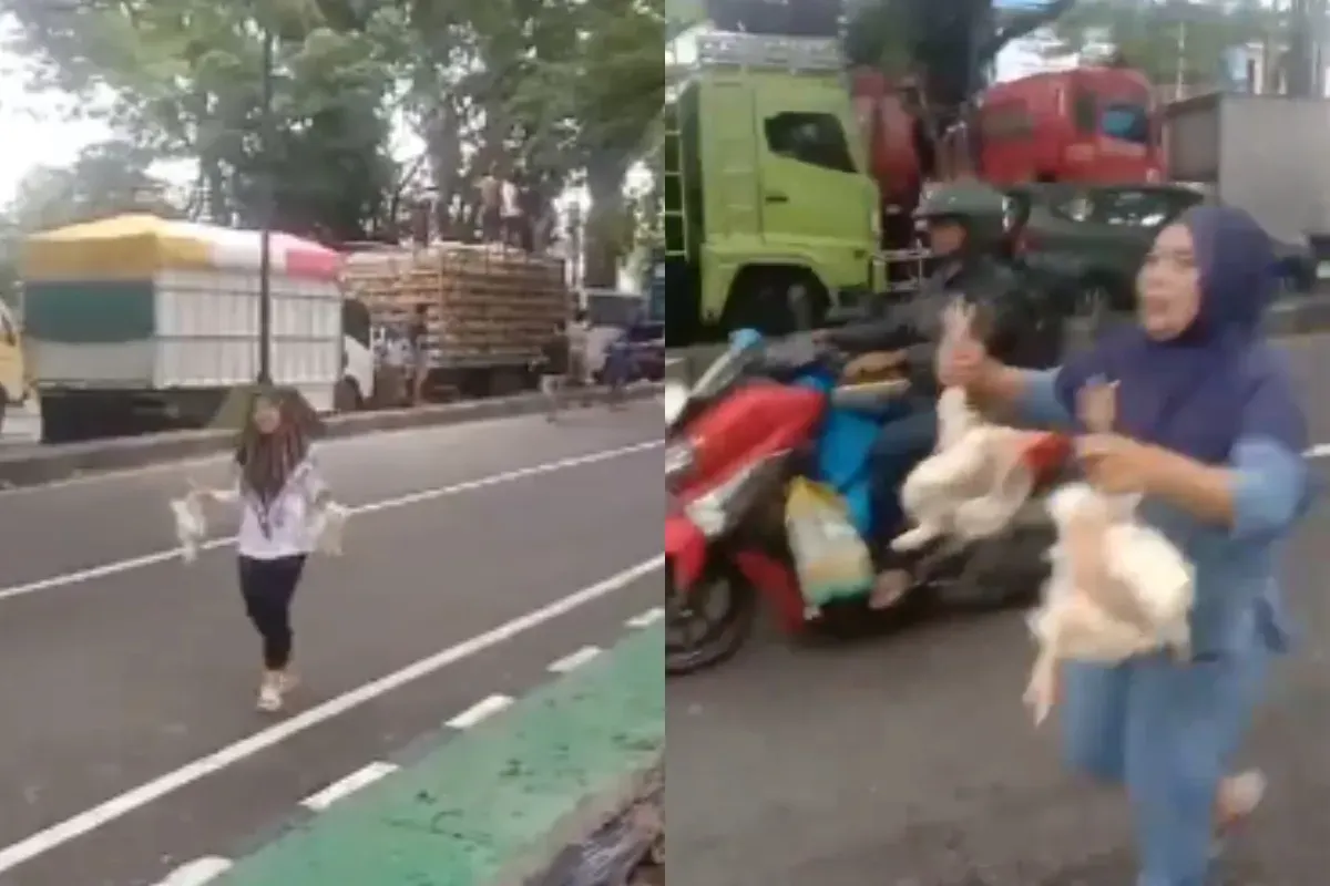 Momen warga mendapatkan ayam potong gratis dari sopir truk pengangkut ayam di Maros. (Sumber: Tangkap Layar X/@mas2_jawa)