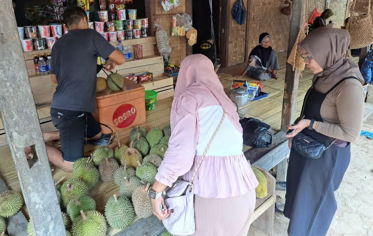 Para wisatawan saat memilih buah durian di kawasan wisata Saba Baduy, Kecamatan Leuwidamar, Kabupaten Lebak, Banten. (Sumber: Dok. Warga Baduy)