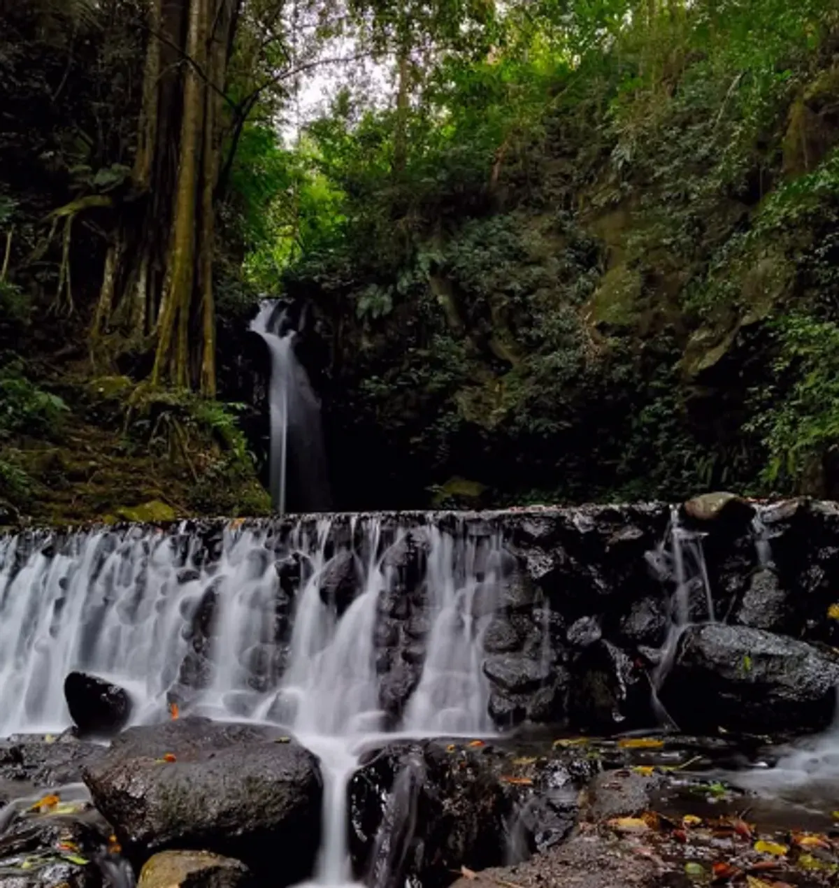 Keindahan alam Curug Putri Paluntungan Kuningan (Sumber: Instagram/@sfummara)