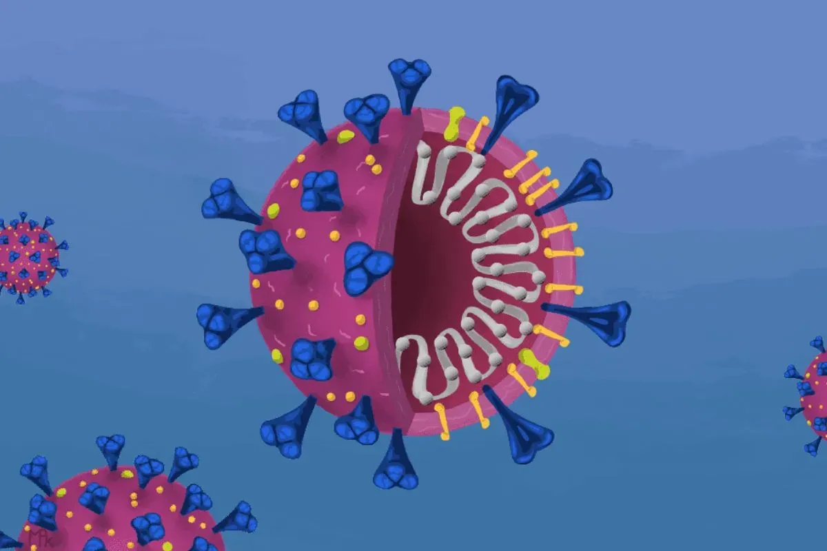 Ilustrasi virus. (Sumber: Innovative Genomics Institute (IGI))