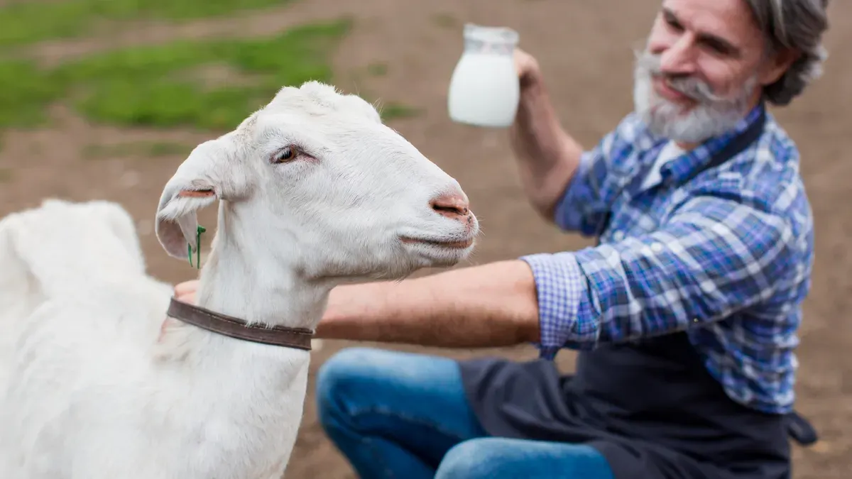 Mengenal lebih jauh tentang segala hal tentang susu kambing. (Sumber: freepik)