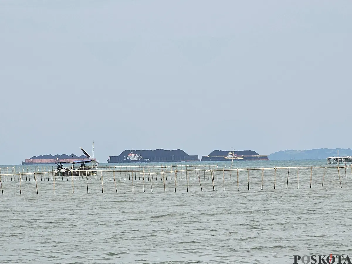 Pagar bambu misterius di wilayah Laut Tangerang. (Sumber: Poskota/Veronica)