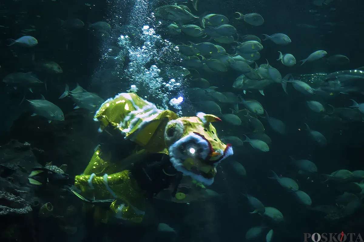 Penyelam berkostum barongsai dan putri duyung melakukan atraksi di dalam akuarium raksasa Sea World, Ancol, Jakarta Utara, Kamis, 23 Januari 2025. (Sumber: Poskoata/ Bilal Nugraha Ginanjar)