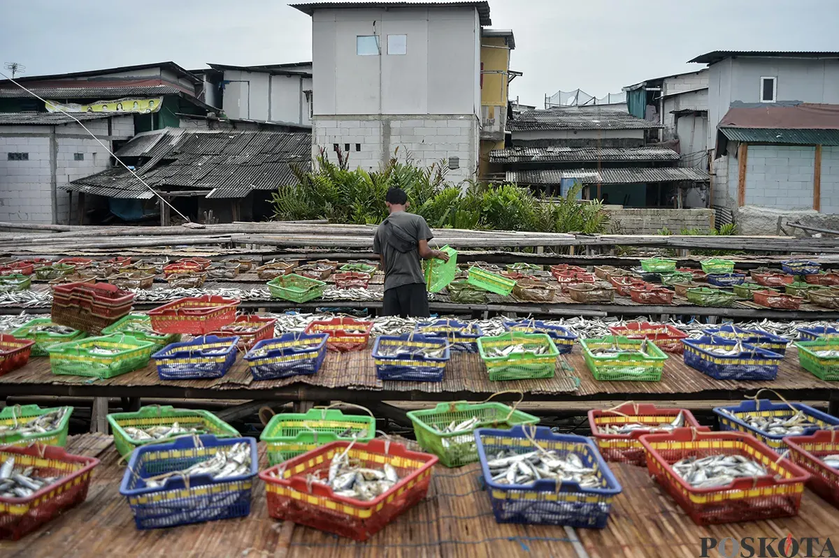 Pengrajin ikan asin menjemur ikan saat proses pengeringan di kawasan Muara Angke, Jakarta Utara, Kamis, 23 Januari 2025. (Sumber: Poskoata/ Bilal Nugraha Ginanjar)