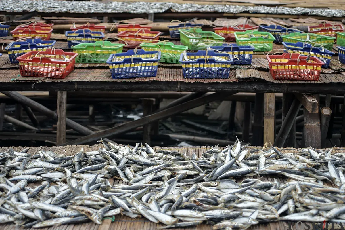Pengrajin ikan asin menjemur ikan saat proses pengeringan di kawasan Muara Angke, Jakarta Utara, Kamis, 23 Januari 2025. (Sumber: Poskoata/ Bilal Nugraha Ginanjar)
