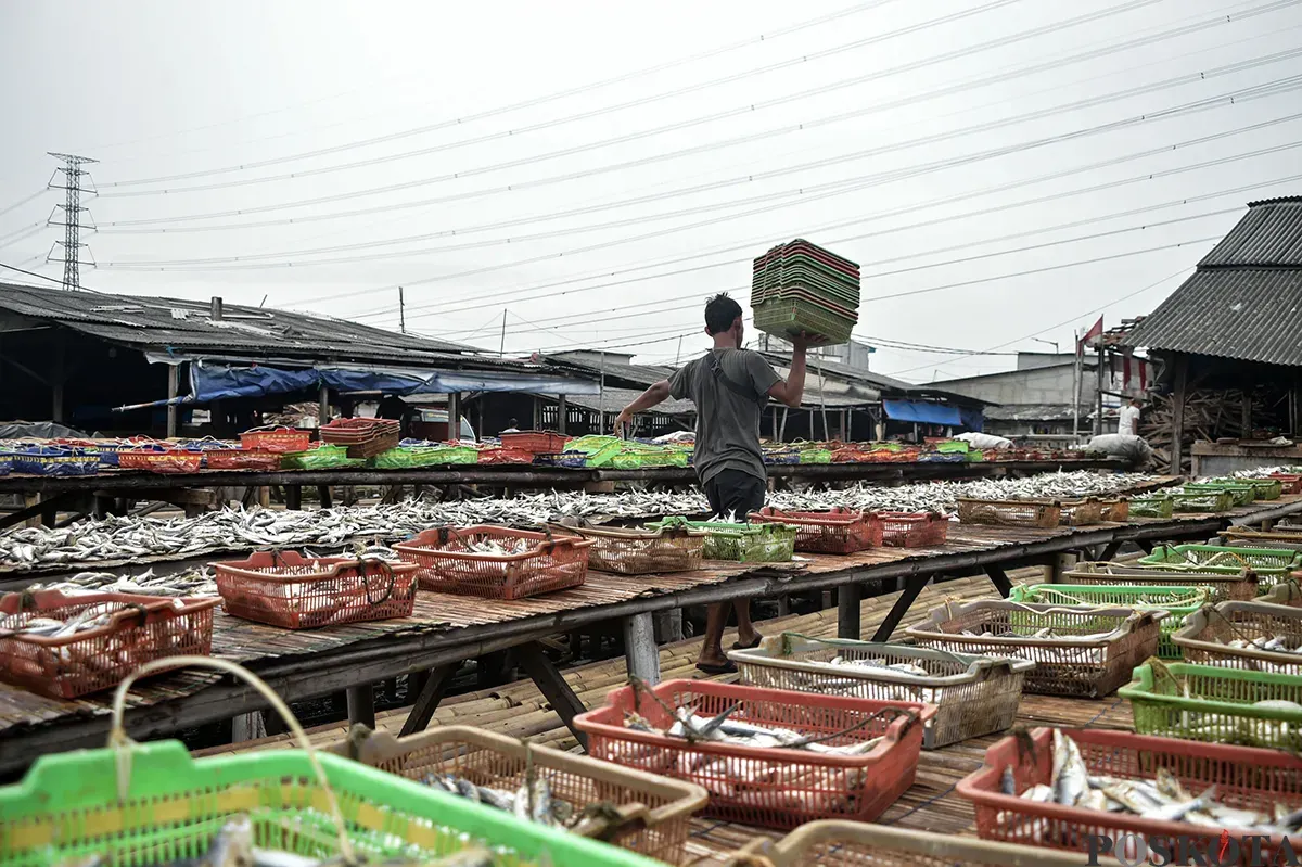 Pengrajin ikan asin menjemur ikan saat proses pengeringan di kawasan Muara Angke, Jakarta Utara, Kamis, 23 Januari 2025. (Sumber: Poskoata/ Bilal Nugraha Ginanjar)