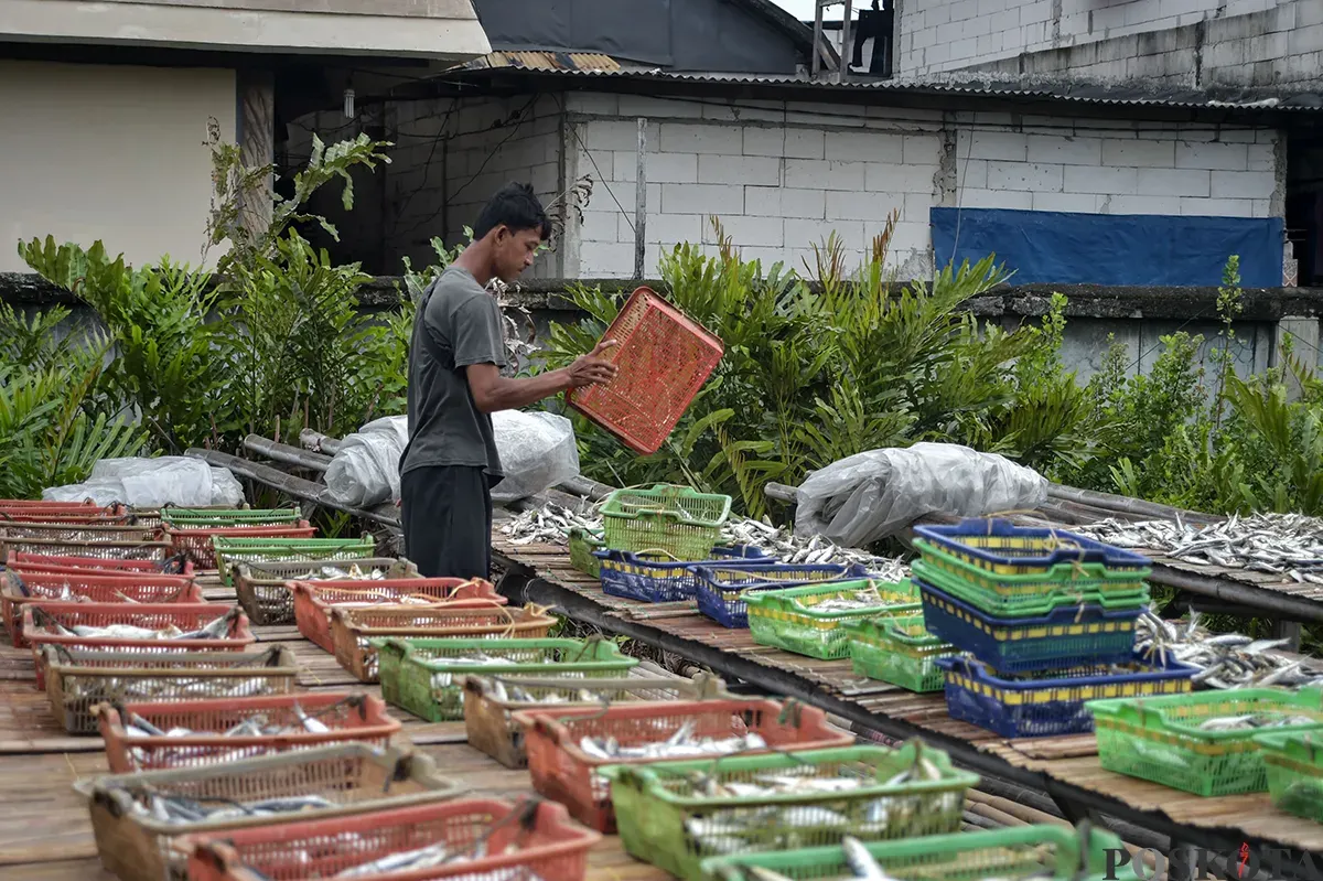 Pengrajin ikan asin menjemur ikan saat proses pengeringan di kawasan Muara Angke, Jakarta Utara, Kamis, 23 Januari 2025. (Sumber: Poskoata/ Bilal Nugraha Ginanjar)