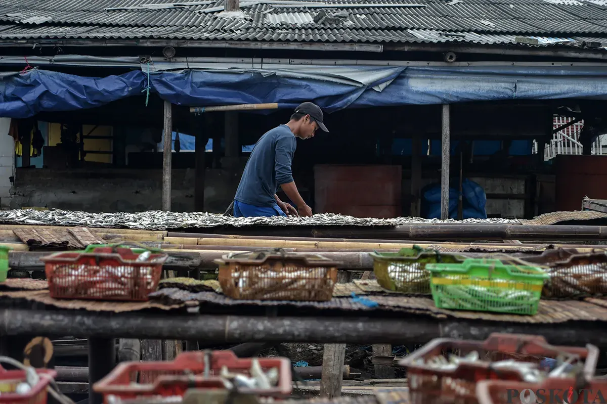 Pengrajin ikan asin menjemur ikan saat proses pengeringan di kawasan Muara Angke, Jakarta Utara, Kamis, 23 Januari 2025. (Sumber: Poskoata/ Bilal Nugraha Ginanjar)