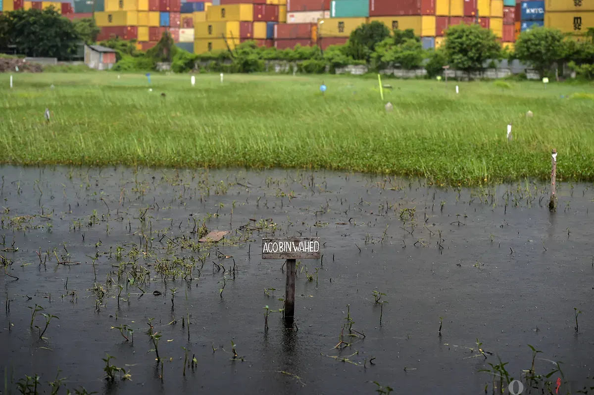 Warga berdoa di makam kerabat yang terendam air di Tempat Pemakaman Umum (TPU) Semper, Cilincing, Jakarta Utara, Jumat, 24 Januari, 2025. (Sumber: Poskota/Bilal Nugraha Ginanjar)