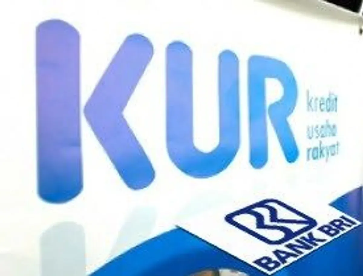 KUR BRI 2025: Pinjaman Rp50 Juta Cuma Cicil 1 Jutaan per Bulan (Sumber: Pinterest)