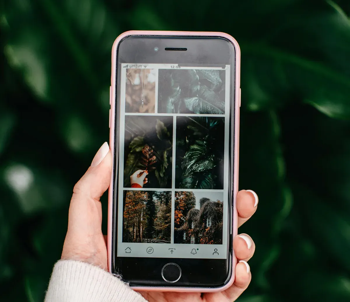 Rekomendasi tempat unduh gambar gratis. (Sumber: Pexels/Lisa Fotios)