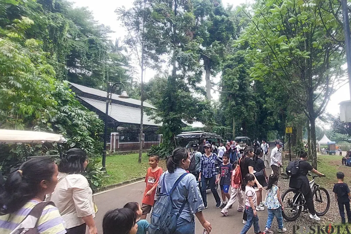 Suasan Kebun Raya Bogor dipadati Pengunjung dalam saat periode libur sekolah, Jumat, 11 Juli 2025. (Sumber: Poskota/Sekar Putri Andini)