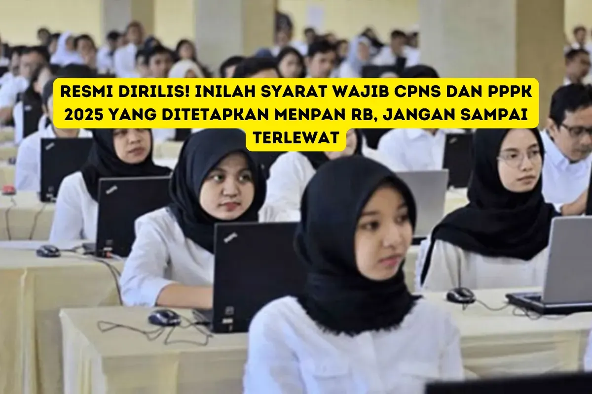 Menpan RB Ungkap Kebijakan Terbaru: Inilah Perubahan Penting untuk Pelamar CPNS dan PPPK (Sumber: Pinterest)