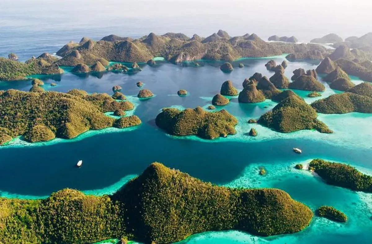 Dampak kerusakan lingkungan lebih besar dari keuntungan ekonomi! Pemerintah cabut 4 izin tambang nikel di Raja Ampat. PT Gag Nikel masih boleh beroperasi. (Sumber: Pinterest)